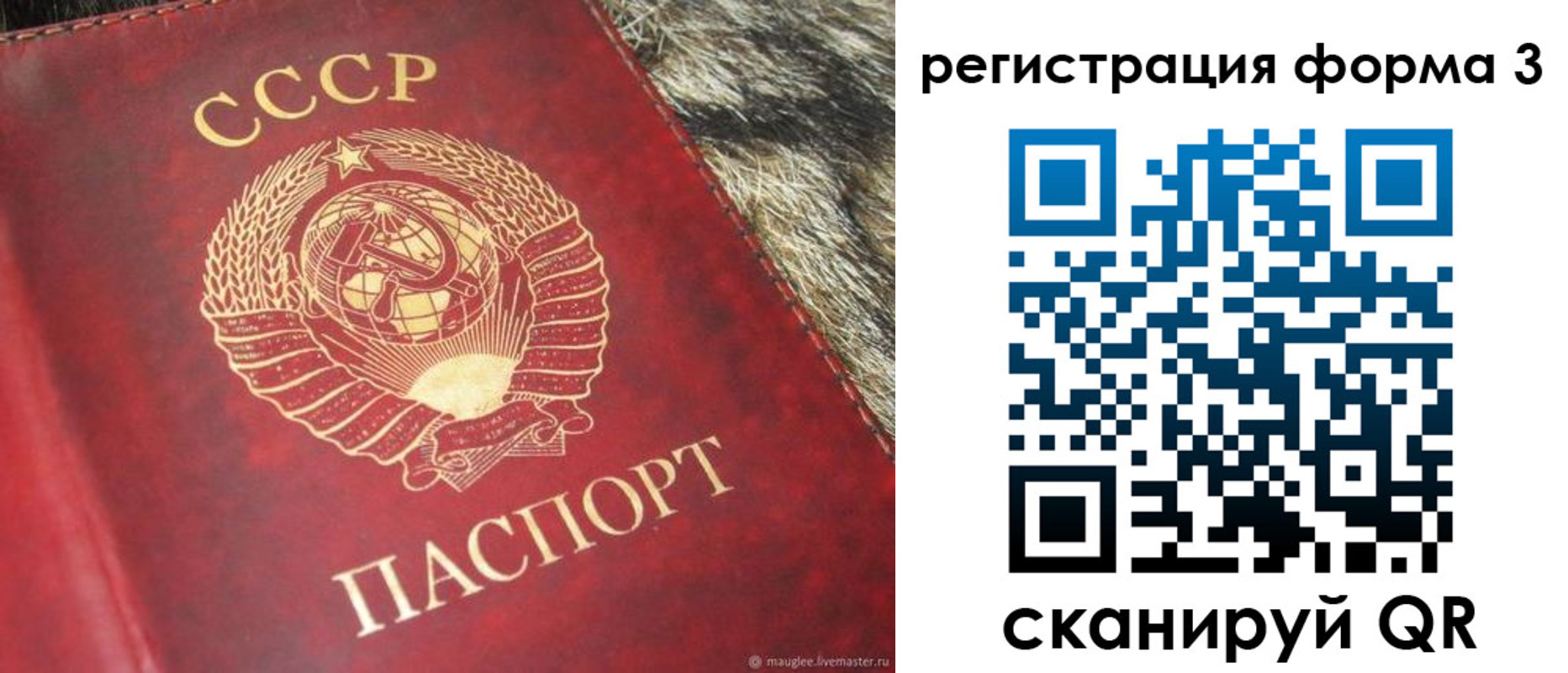 прописка регистрация в Полысаево